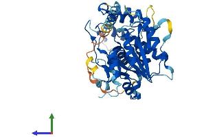 AlphaFold protein structure predicition of Human Recombinant B3GNT8 Protein, UniprotID Q7Z7M8