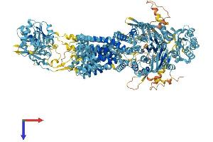 AlphaFold protein structure predicition of Mouse Recombinant Abca5 Protein, UniprotID Q8K448