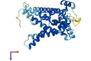 AlphaFold protein structure predicition of Human Recombinant SLC25A17 Protein, UniprotID O43808