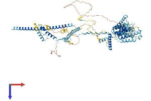 AlphaFold protein structure predicition of Human Recombinant NOP14 Protein, UniprotID P78316