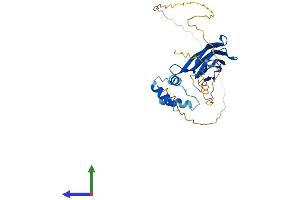 AlphaFold protein structure predicition of Human Recombinant NPM1 Protein, UniprotID P06748