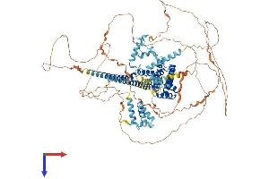AlphaFold protein structure predicition of Mouse Recombinant Cherp Protein, UniprotID Q8CGZ0