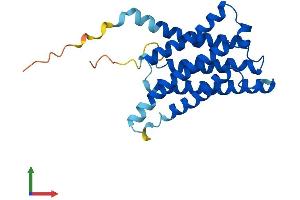 AlphaFold protein structure predicition of Mouse Recombinant Cyb561d1 Protein, UniprotID A2AE42