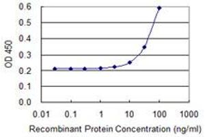 Detection limit for recombinant GST tagged MNDA is 3 ng/ml as a capture antibody. (MNDA anticorps  (AA 311-407))