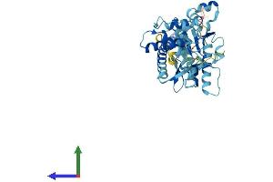 AlphaFold protein structure predicition of Mouse Recombinant Psmc4 Protein, UniprotID P54775