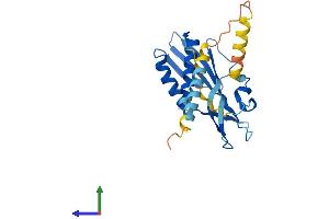 AlphaFold protein structure predicition of Human Recombinant RTP2 Protein, UniprotID Q5QGT7