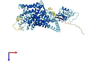 AlphaFold protein structure predicition of Human Recombinant CLCN4 Protein, UniprotID P51793