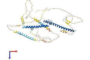 AlphaFold protein structure predicition of Mouse Recombinant Mitf Protein, UniprotID Q08874