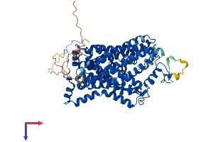 AlphaFold protein structure predicition of Mouse Recombinant Slc6a11 Protein, UniprotID P31650