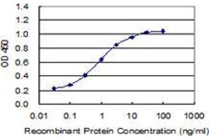 anti-Growth Hormone 1 (GH1) (AA 1-217) antibody