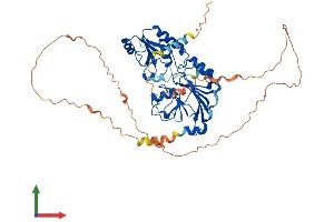 AlphaFold protein structure predicition of Mouse Recombinant Dclre1b Protein, UniprotID Q8C7W7