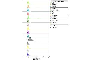 anti-CD16 (CD16) antibody (PE)