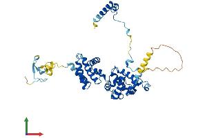 AlphaFold protein structure predicition of Mouse Recombinant Brf2 Protein, UniprotID Q3UAW9