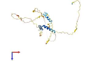 AlphaFold protein structure predicition of Human Recombinant FRAT1 Protein, UniprotID Q92837