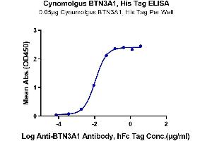 Immobilized Cynomolgus BTN3A1, His Tag at 0.