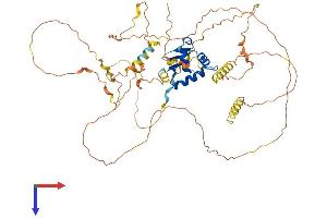 AlphaFold protein structure predicition of Mouse Recombinant Erf Protein, UniprotID P70459