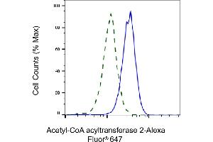 Validation of Acetyl-CoA acyltransferase 2 knockdown using flow cytometry.