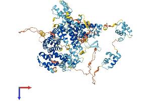 Timeless Homolog (TIMELESS) (AA 1-1197) protein (His tag)