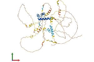 AlphaFold protein structure predicition of Human Recombinant ARX Protein, UniprotID Q96QS3