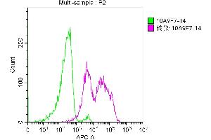 Overlay histogram showing 293F cells transfected with TNFRSF17 stained with ABIN7172256 (red line) at 1:100.
