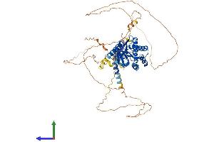 AlphaFold protein structure predicition of Mouse Recombinant Cacnb2 Protein, UniprotID Q8CC27