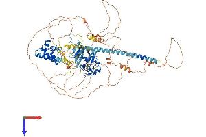 AlphaFold protein structure predicition of Mouse Recombinant Jade2 Protein, UniprotID Q6ZQF7