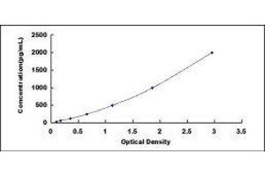 Lectin, Galactoside-Binding, Soluble, 8 (LGALS8) ELISA Kit