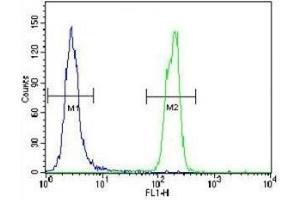 SUMO antibody flow cytometric analysis of HeLa cells (right histogram) compared to a negative control (left histogram). (SUMO1 anticorps  (AA 52-79))