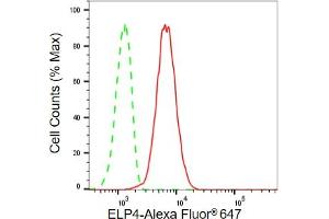 Flow cytometric analysis of ELP4 expression in C2C12 cells using ELP4 antibody (ABIN7798433), 1:2,000).