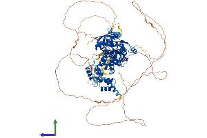 AlphaFold protein structure predicition of Mouse Recombinant N4bp1 Protein, UniprotID Q6A037