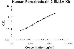 Human Peroxiredoxin 2 PicoKine ELISA Kit standard curve (Peroxiredoxin 2 Kit ELISA)