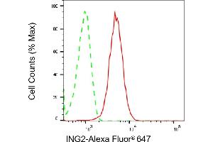 Flow cytometric analysis of ING2 expression in HepG2 cells using ING2 antibody (ABIN7799032), 1:2,000). (Recombinant ING2 anticorps)
