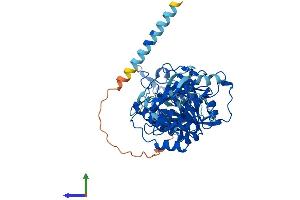 AlphaFold protein structure predicition of Human Recombinant GALNT16 Protein, UniprotID Q8N428
