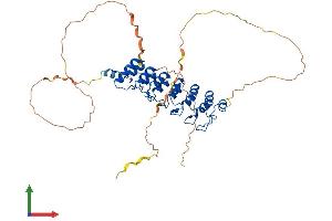 AlphaFold protein structure predicition of Human Recombinant BCL3 Protein, UniprotID P20749