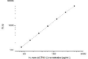 Typical standard curve (ACTN3 Kit CLIA)