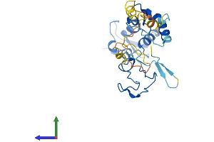 AlphaFold protein structure predicition of Human Recombinant ARL14EP Protein, UniprotID Q8N8R7