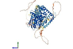 AlphaFold protein structure predicition of Human Recombinant OSBPL11 Protein, UniprotID Q9BXB4