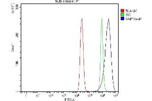 Flow Cytometry analysis of MCF-7 cells using anti-RAP1GAP antibody (ABIN7599729). (RAP1GAP anticorps  (AA 11-661))