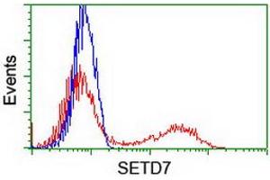 Image no. 2 for anti-SET Domain Containing (Lysine Methyltransferase) 7 (SETD7) antibody (ABIN1500904) (SETD7 anticorps)