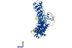 AlphaFold protein structure predicition of Mouse Recombinant Fem1aa Protein, UniprotID Q9Z2G1
