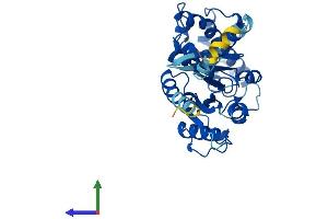 AlphaFold protein structure predicition of Mouse Recombinant Gnaq Protein, UniprotID P21279