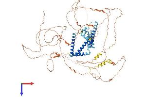 AlphaFold protein structure predicition of Human Recombinant RTN1 Protein, UniprotID Q16799