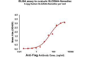 Elisa plates were pre-coated with Flag Tag A4-Nanodisc (0.