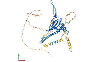 AlphaFold protein structure predicition of Mouse Recombinant Nap1l2 Protein, UniprotID P51860