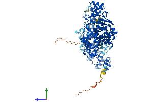AlphaFold protein structure predicition of Human Recombinant RNASEL Protein, UniprotID Q05823