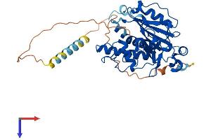AlphaFold protein structure predicition of Mouse Recombinant Ggta1 Protein, UniprotID P23336