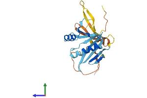 AlphaFold protein structure predicition of Human Recombinant OAZ3 Protein, UniprotID Q9UMX2