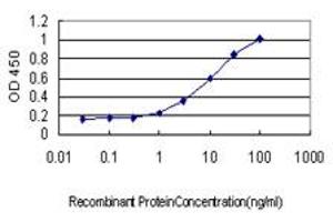 ELISA image for anti-Glutaminyl-tRNA Synthetase (QARS) (AA 677-776) antibody (ABIN598566) (QARS anticorps  (AA 677-776))