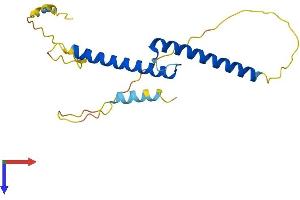 AlphaFold protein structure predicition of Human Recombinant ASCL2 Protein, UniprotID Q99929