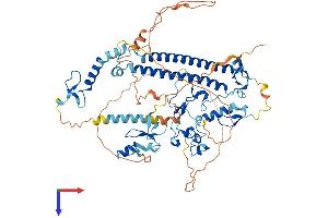 AlphaFold protein structure predicition of Human Recombinant CXXC1 Protein, UniprotID Q9P0U4